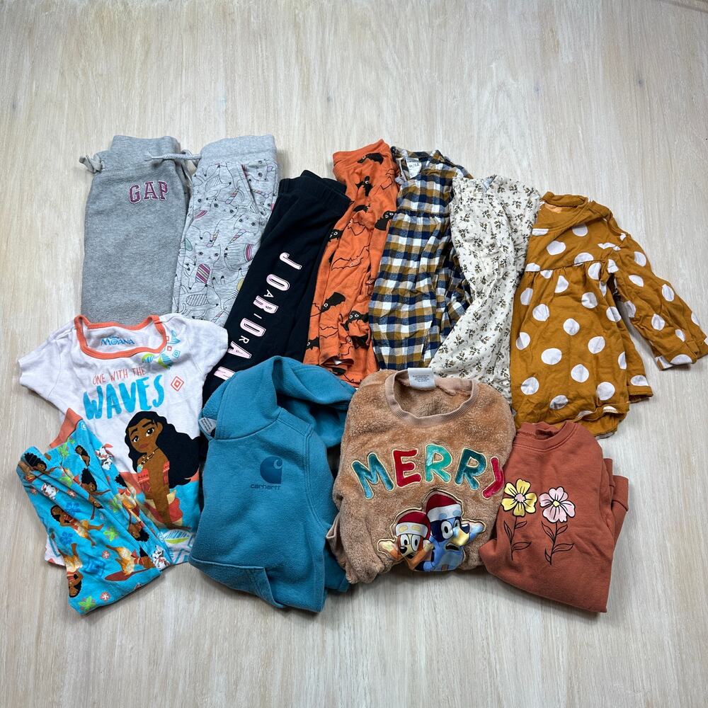 12 Piece Bundle Lot Carhartt Gap Jordan Bluey Disney Boho Fall Winter Casual 4T